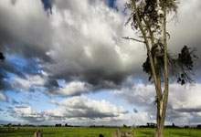 OD体育官网：CBA：深圳队139-100大胜宁波队 宁波遭遇五连败.