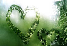 OD体育官网：CBA：深圳队139-100大胜宁波队 宁波遭遇五连败.